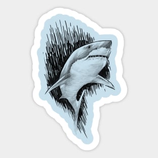 Shark Sticker